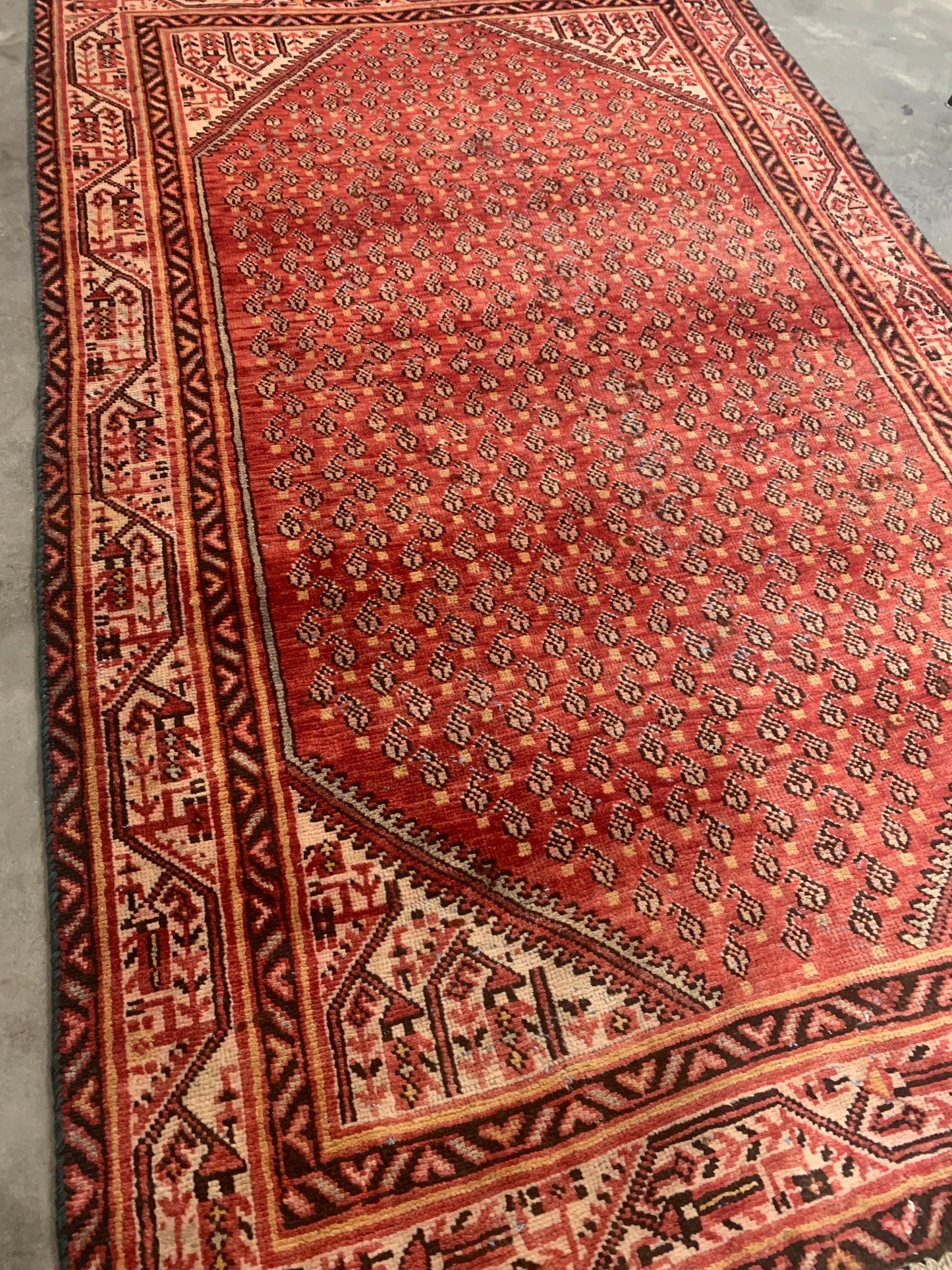 Persian Rug