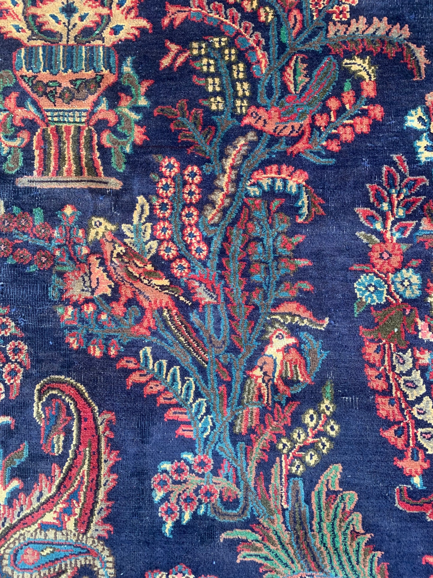 8’6x11’9 Royal Design Rug