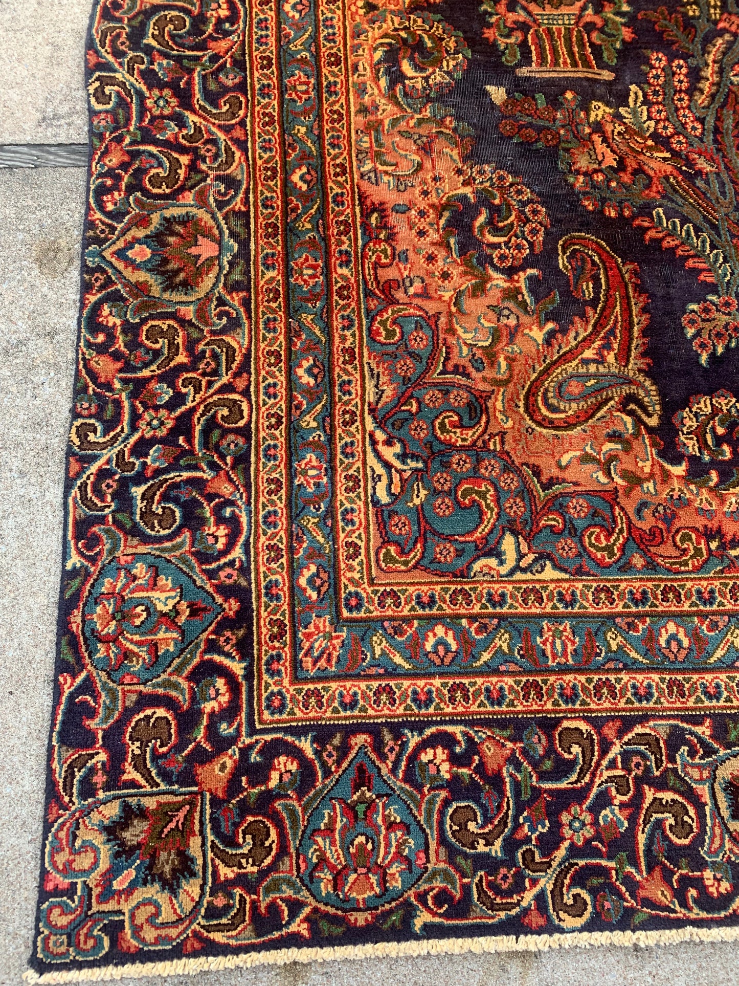 8’6x11’9 Royal Design Rug